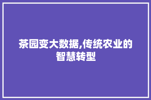 茶园变大数据,传统农业的智慧转型 搜狗SEO