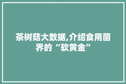 茶树菇大数据,介绍食用菌界的“软黄金” SEO关键词