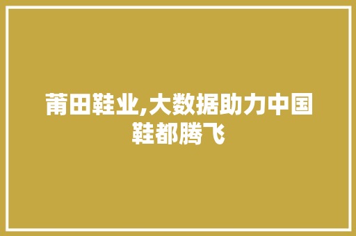 莆田鞋业,大数据助力中国鞋都腾飞 神马SEO