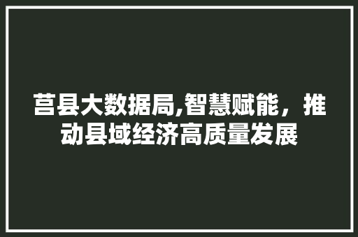 莒县大数据局,智慧赋能，推动县域经济高质量发展 网站建设公司