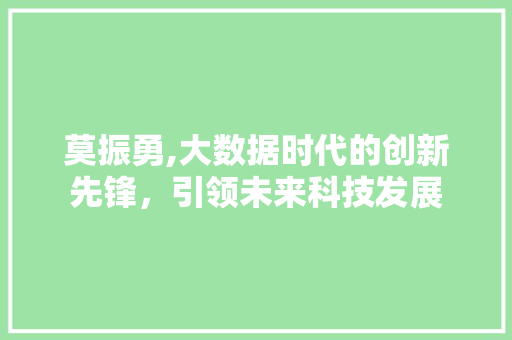 莫振勇,大数据时代的创新先锋，引领未来科技发展 搜狗SEO
