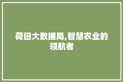 荷田大数据局,智慧农业的领航者 网站建设公司