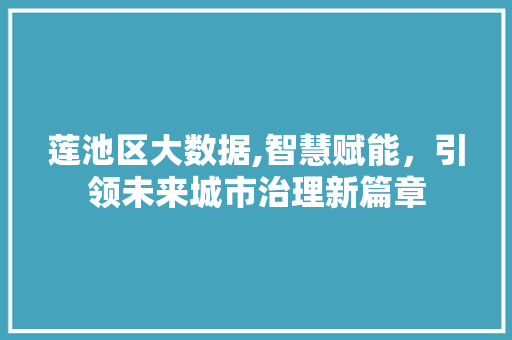 莲池区大数据,智慧赋能，引领未来城市治理新篇章 必应SEO