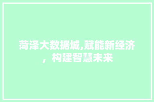 菏泽大数据城,赋能新经济，构建智慧未来 神马SEO