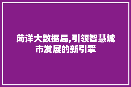菏洋大数据局,引领智慧城市发展的新引擎