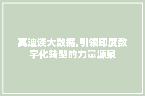 莫迪谈大数据,引领印度数字化转型的力量源泉 搜狗SEO