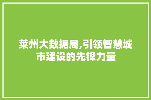 莱州大数据局,引领智慧城市建设的先锋力量 必应SEO