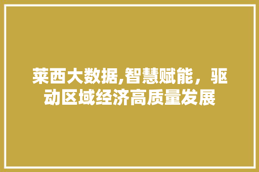 莱西大数据,智慧赋能，驱动区域经济高质量发展 神马SEO