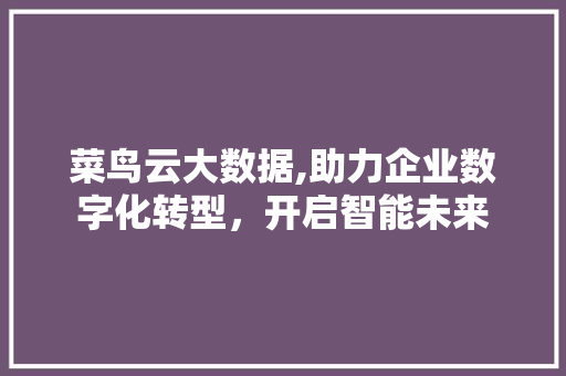 菜鸟云大数据,助力企业数字化转型，开启智能未来 神马SEO