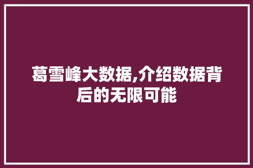 葛雪峰大数据,介绍数据背后的无限可能 百度SEO