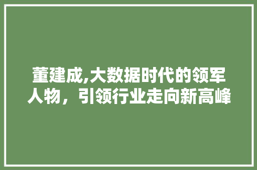 董建成,大数据时代的领军人物，引领行业走向新高峰 百度SEO