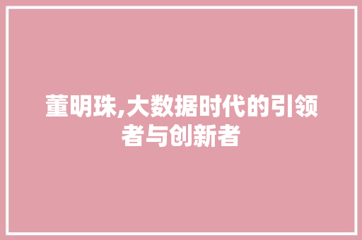 董明珠,大数据时代的引领者与创新者 网站建设公司