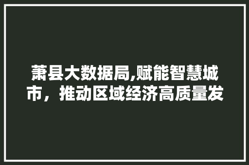 萧县大数据局,赋能智慧城市，推动区域经济高质量发展 网站建设公司