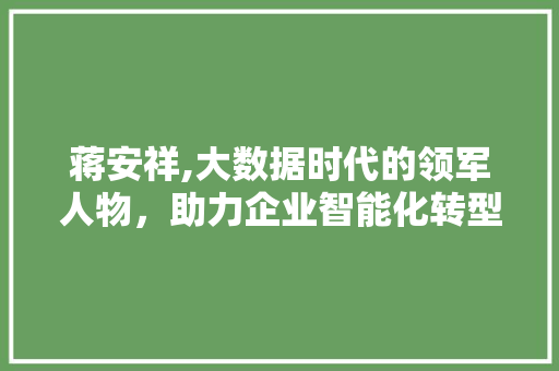 蒋安祥,大数据时代的领军人物，助力企业智能化转型 必应SEO