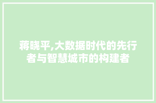 蒋晓平,大数据时代的先行者与智慧城市的构建者 神马SEO