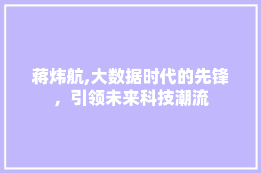蒋炜航,大数据时代的先锋，引领未来科技潮流 SEO关键词