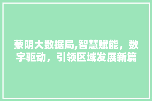 蒙阴大数据局,智慧赋能，数字驱动，引领区域发展新篇章 神马SEO