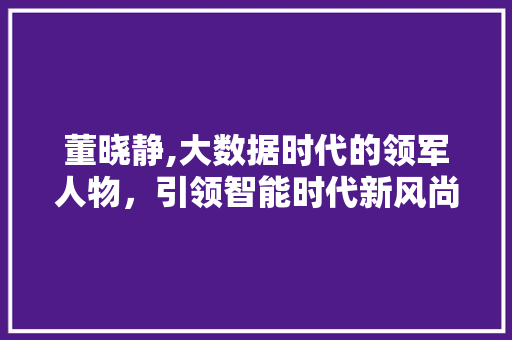 董晓静,大数据时代的领军人物，引领智能时代新风尚