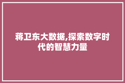 蒋卫东大数据,探索数字时代的智慧力量 神马SEO