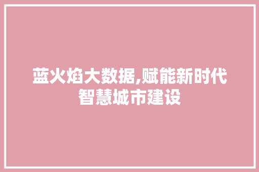 蓝火焰大数据,赋能新时代智慧城市建设 百度SEO