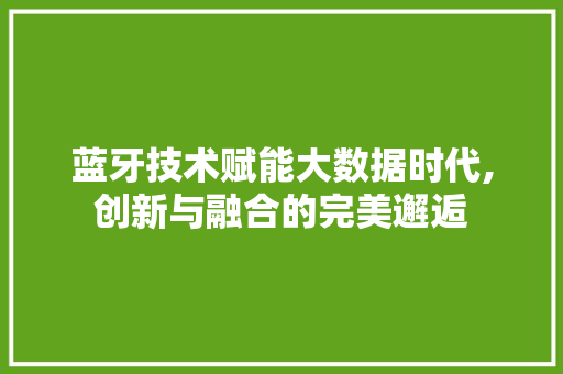 蓝牙技术赋能大数据时代,创新与融合的完美邂逅 SEO关键词