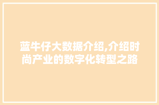 蓝牛仔大数据介绍,介绍时尚产业的数字化转型之路 必应SEO