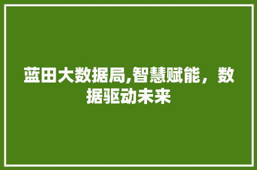 蓝田大数据局,智慧赋能，数据驱动未来 必应SEO