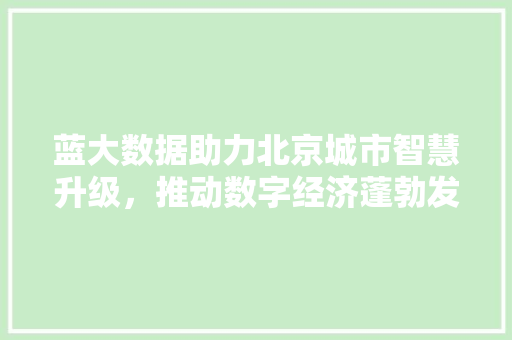 蓝大数据助力北京城市智慧升级，推动数字经济蓬勃发展 必应SEO