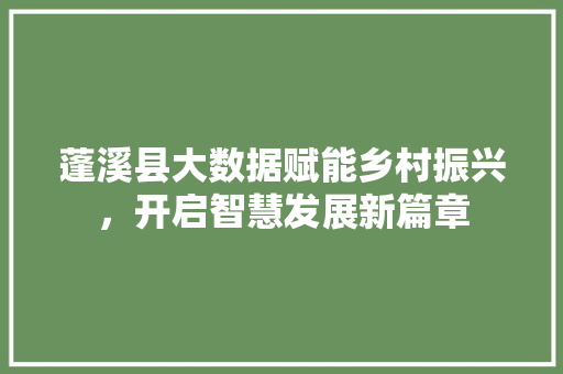 蓬溪县大数据赋能乡村振兴，开启智慧发展新篇章 百度SEO