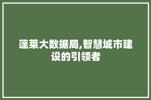 蓬莱大数据局,智慧城市建设的引领者