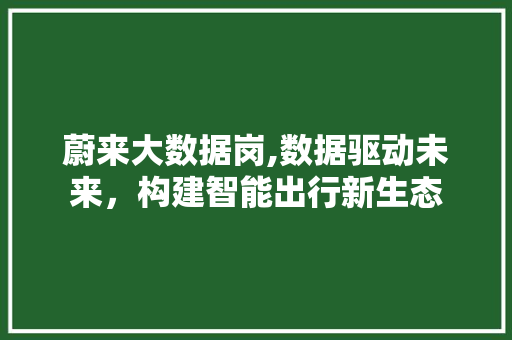 蔚来大数据岗,数据驱动未来，构建智能出行新生态 必应SEO