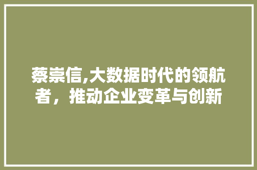 蔡崇信,大数据时代的领航者，推动企业变革与创新 SEO关键词