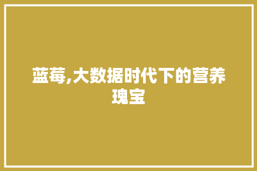蓝莓,大数据时代下的营养瑰宝 网站建设公司
