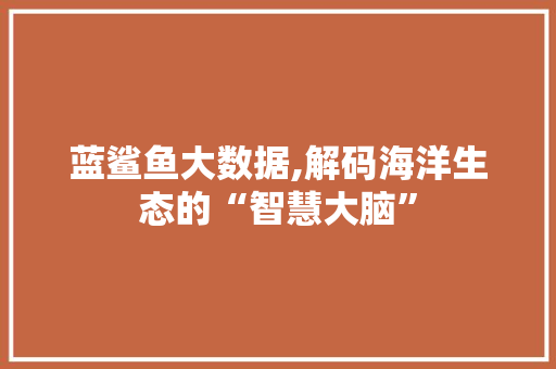 蓝鲨鱼大数据,解码海洋生态的“智慧大脑” 百度SEO