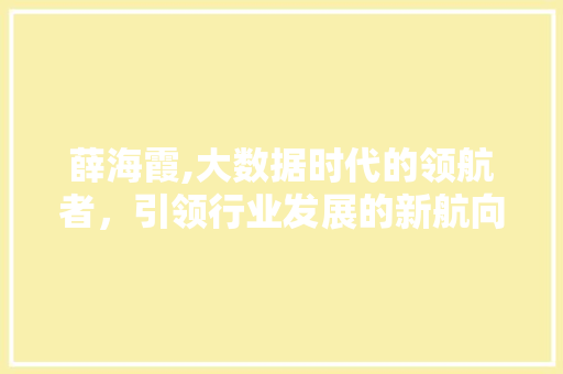 薛海霞,大数据时代的领航者，引领行业发展的新航向 必应SEO