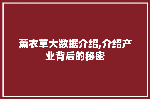 薰衣草大数据介绍,介绍产业背后的秘密 神马SEO