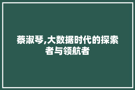 蔡淑琴,大数据时代的探索者与领航者 SEO关键词