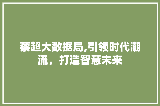 蔡超大数据局,引领时代潮流，打造智慧未来 SEO关键词