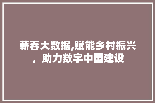 蕲春大数据,赋能乡村振兴，助力数字中国建设 SEO关键词