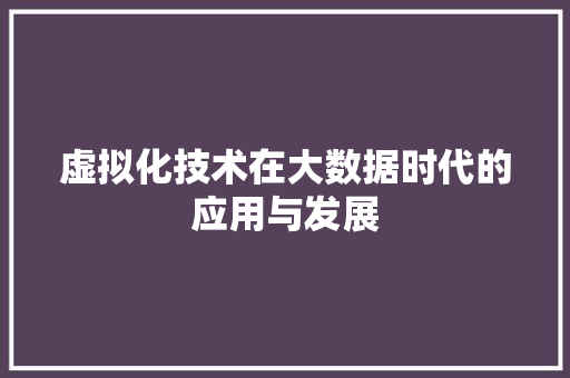 虚拟化技术在大数据时代的应用与发展