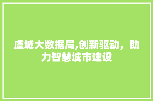 虞城大数据局,创新驱动，助力智慧城市建设 百度SEO
