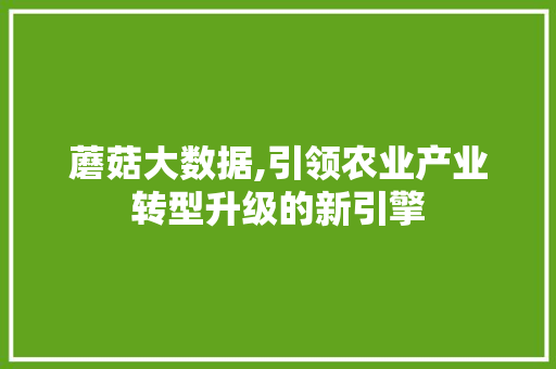 蘑菇大数据,引领农业产业转型升级的新引擎 网站建设公司
