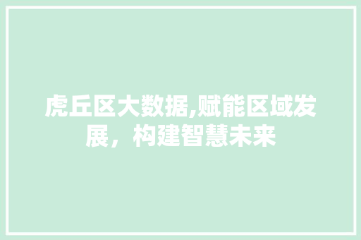 虎丘区大数据,赋能区域发展，构建智慧未来 必应SEO