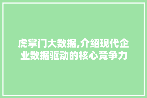 虎掌门大数据,介绍现代企业数据驱动的核心竞争力 SEO关键词