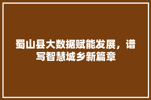 蜀山县大数据赋能发展，谱写智慧城乡新篇章