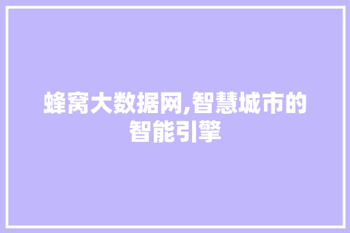 蜂窝大数据网,智慧城市的智能引擎