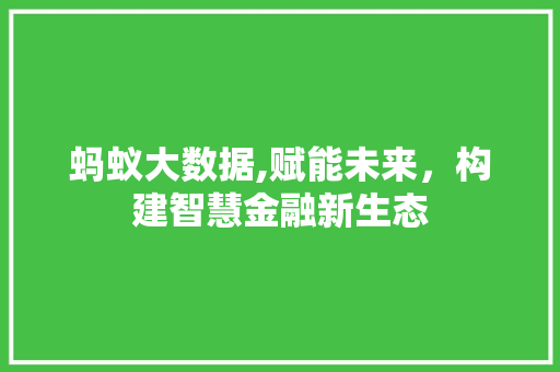蚂蚁大数据,赋能未来，构建智慧金融新生态