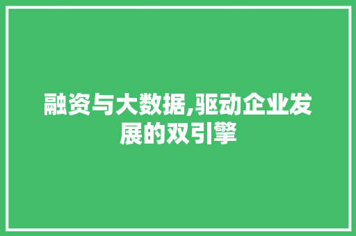 融资与大数据,驱动企业发展的双引擎