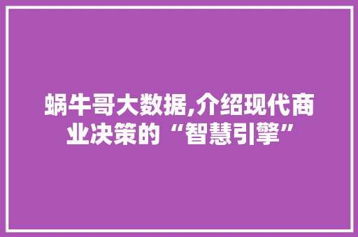 蜗牛哥大数据,介绍现代商业决策的“智慧引擎”