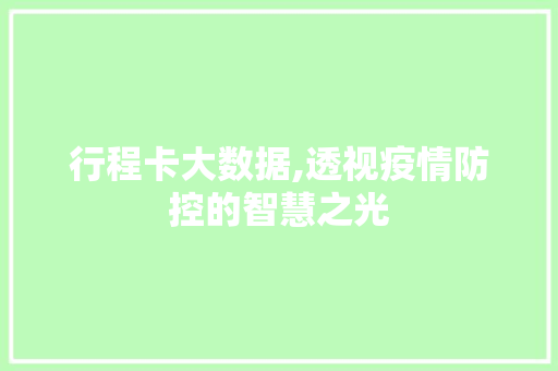 行程卡大数据,透视疫情防控的智慧之光